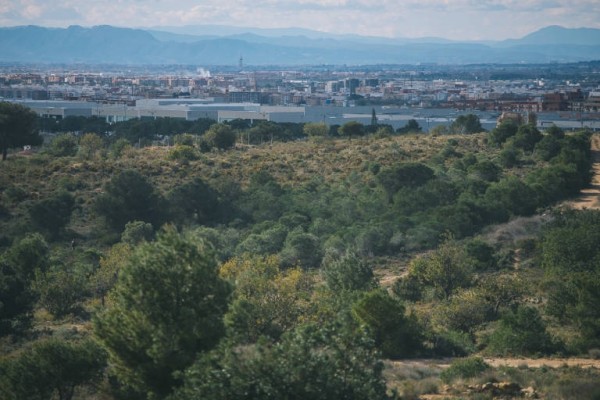 La Coordinadora de les Moles recurrirá tras las resoluciones del TSJCV la 
