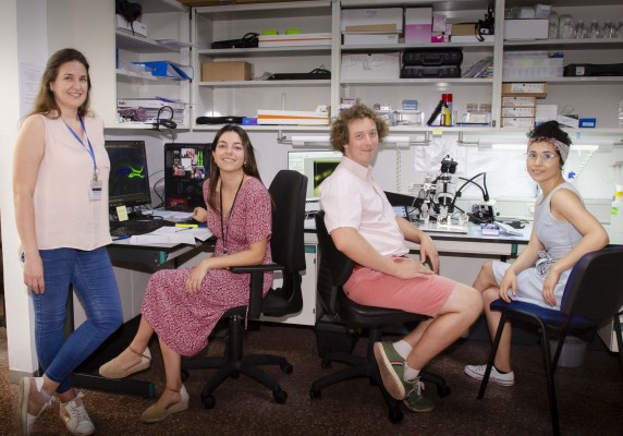 Un estudio de Neurociencias UMH-CSIC descubre un mecanismo que reduce la interacción con sujetos familiares 