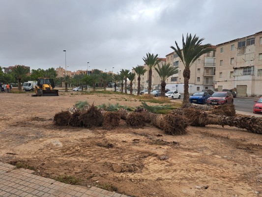 Empieza la adecuación de la parcela para el nuevo Centro Social de San Antón de Elche