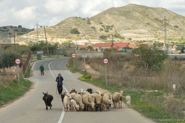 Blindaje a la zona Oeste de Cartagena contra las explotaciones mineras: se ampliará la protección ambiental