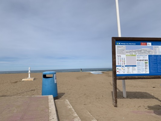 Dénia licita la contrata de 12 millones para retirar y tratar las algas durante diez años

