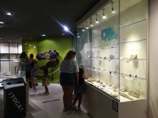 El Museo Paleontológico de Elche aumenta un 24 % sus visitantes este verano: más de 5.000

