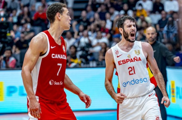 Abrines: 