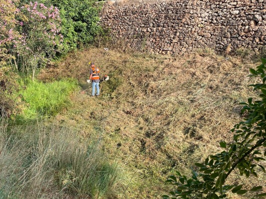 Betxí rep 66.000 euros de Labora per a ocupar quatre persones en tasques forestals
