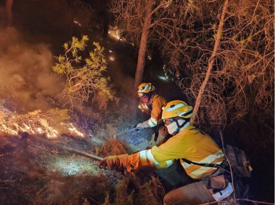 El incendio que arrasó 2,2 hectáreas en El Valle Perdido de Murcia fue intencionado