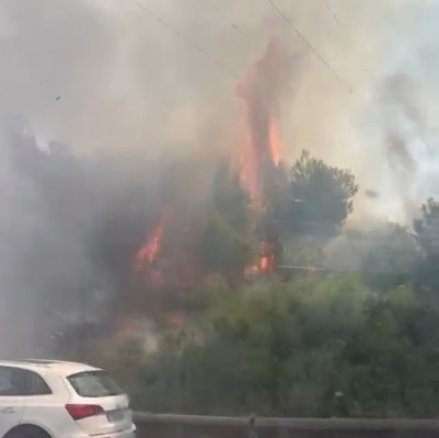 Controlado el incendio forestal declarado en El Saler