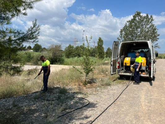 El Consorci del Millars refuerza el riego de 150 arbolitos para garantizar la supervivencia