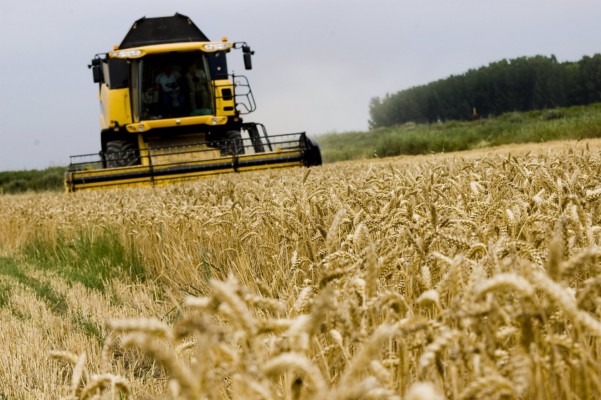 Más de 10.000 agricultores y ganaderos de la Región solicitan las ayudas directas de la PAC 