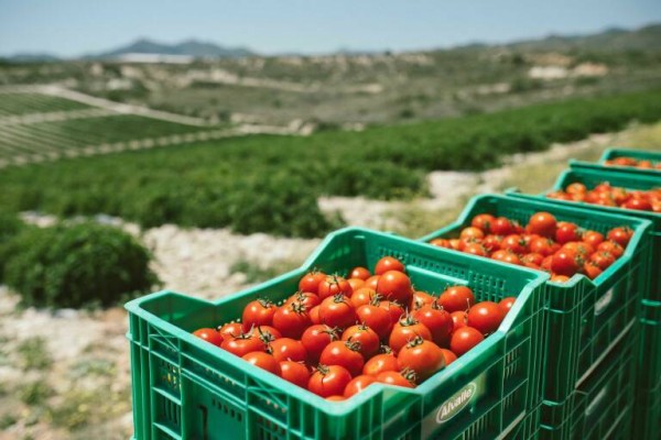 Trescientos empresarios y profesionales del sector agrario se darán cita en la Asamblea General de Proexport