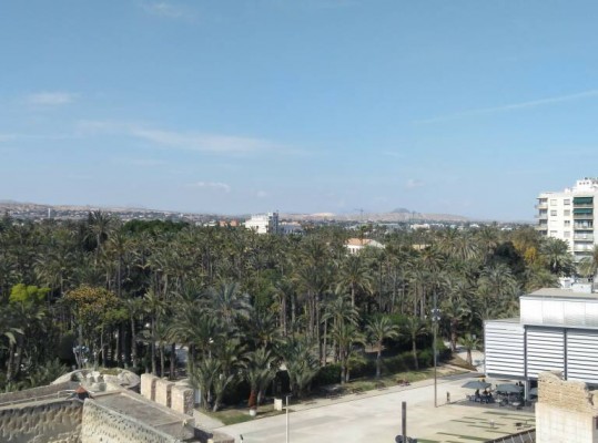 Elche busca nuevos nichos turísticos como ciudad patrimonial y se lanza a por el público portugués 