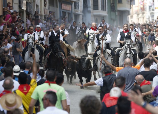La UCV organiza el dispositivo de veterinarios en la Entrada de Toros y Caballos de Segorbe 