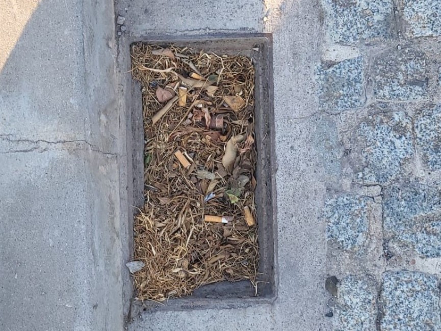 Fotos: Ayuntamiento de Burriana - 
