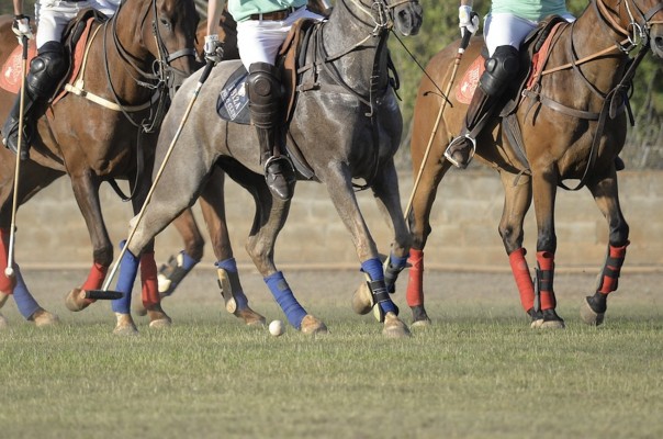 La Copa de Oro pone el broche de oro a un mes de polo en Sotogrande con la mayor presencia de deportistas internacionales y de mujeres
