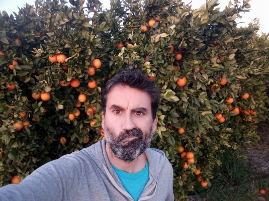Ismael Navarro: “Amb xicotets canvis podem fer que la taronja siga viable” 