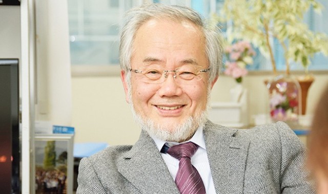 Yoshinori Ohsumi, galardonado con el Nobel de Medicina 2016