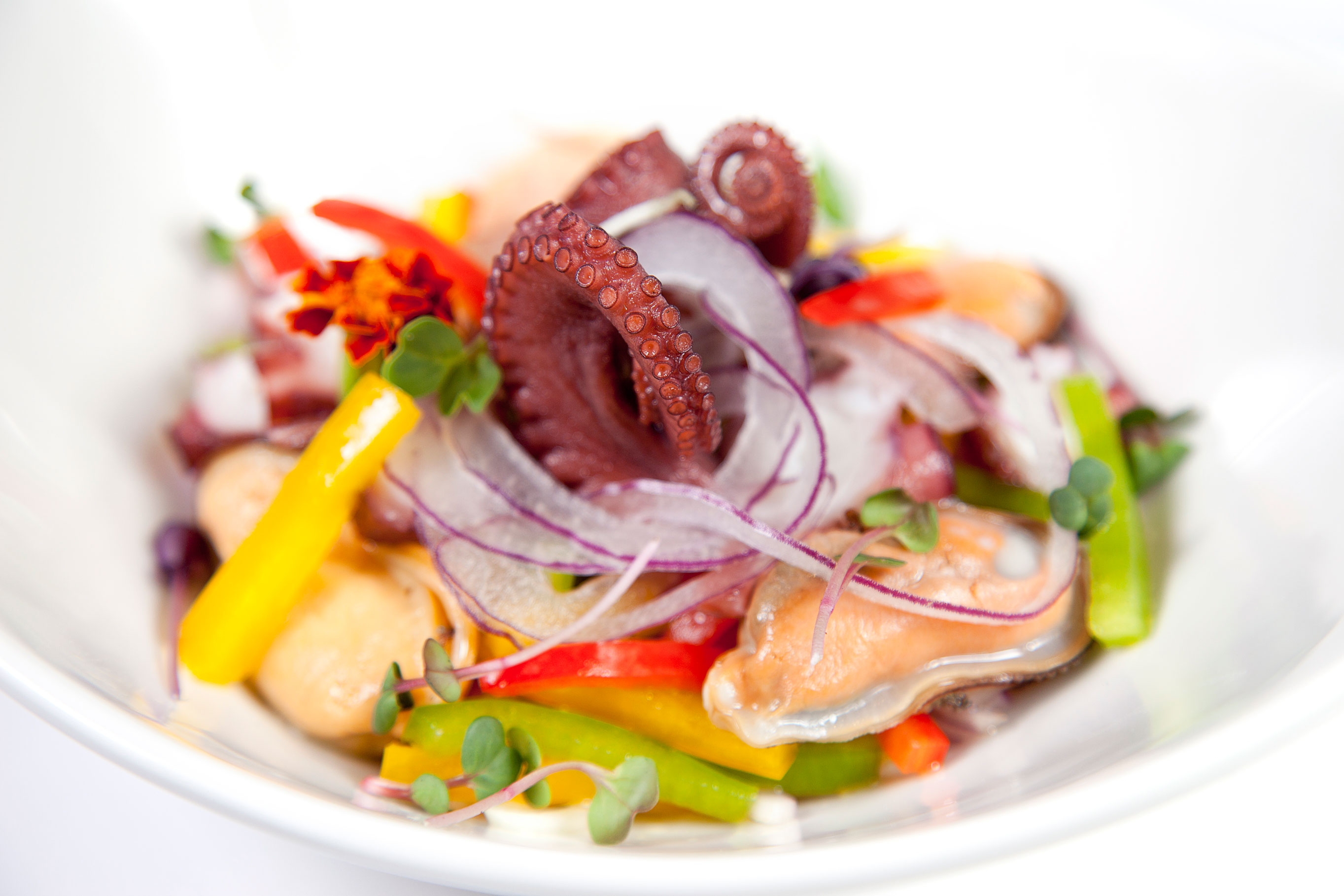 Las jornadas gastronómicas del Casino en octubre, a base de marisco