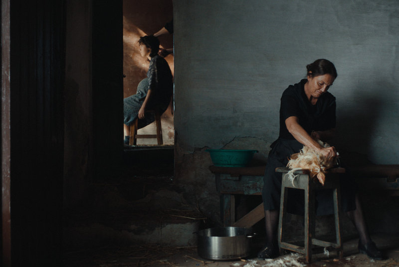 La imatge permanent - 