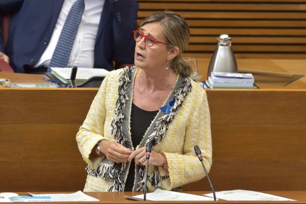 El PPCV urge al Congreso a aprobar una ley de ELA 