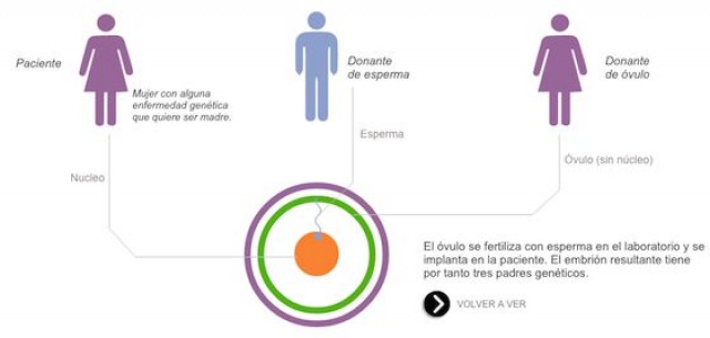 La técnica de 'tres padres genéticos' podría plantearse en España ya que no está 