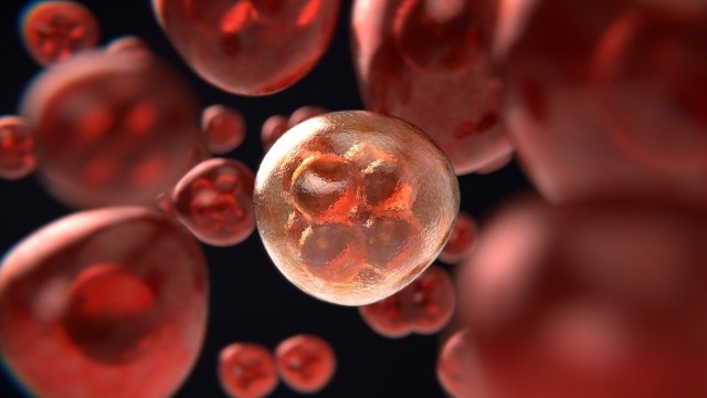 Asocian una buena aptitud cardiorrespiratoria con un riesgo 40% inferior de padecer 9 tipos de cáncer
