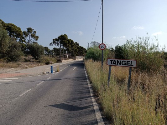 Tàngel i tots els estius d’interior que Alacant va perdre