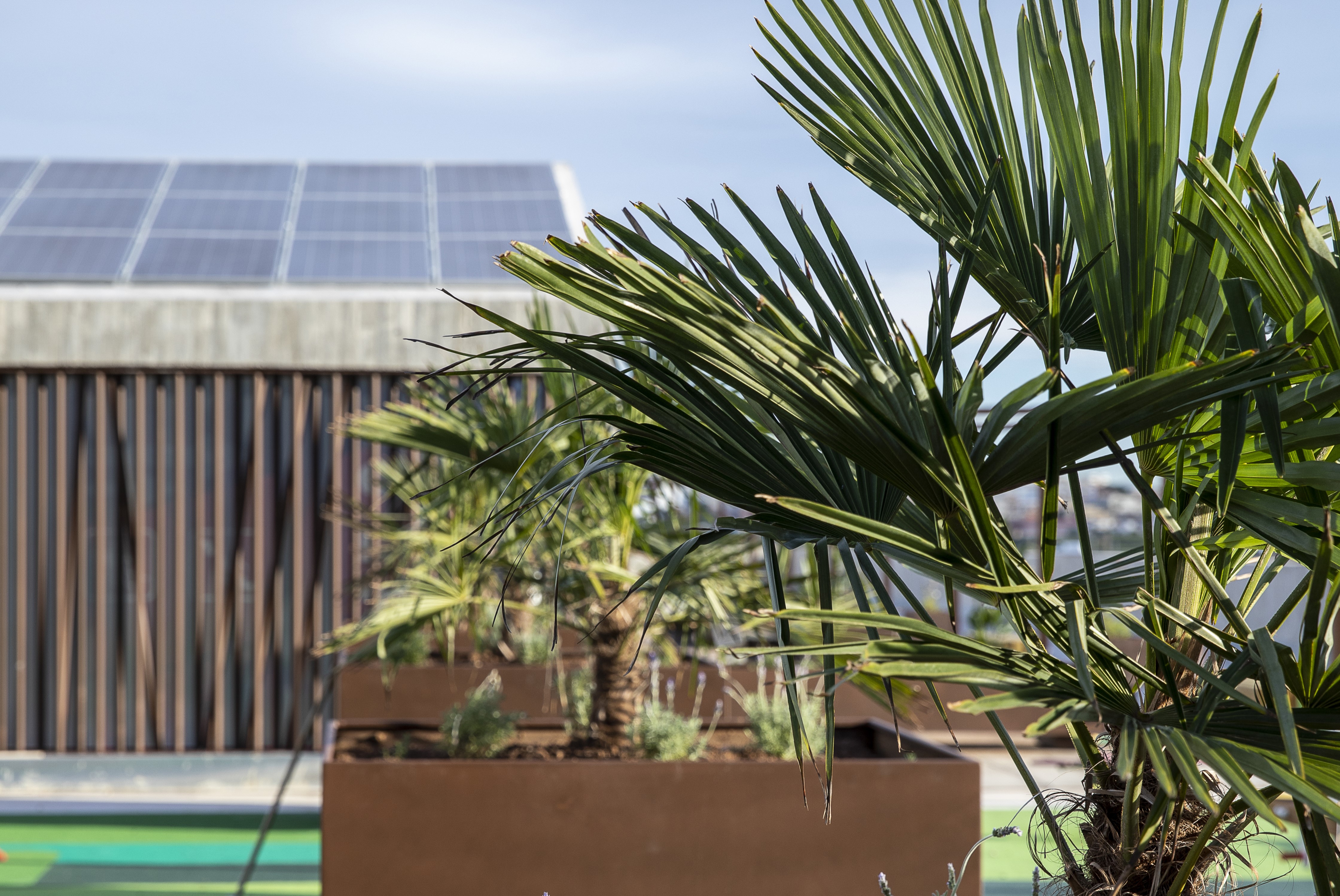 Quart de Poblet consolida su modelo de urbanismo contra el cambio climático 