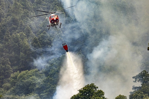El trabajo de equipos de extinción en Tenerife evita que el fuego queme viviendas: 