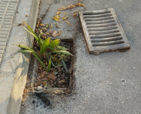 Burriana continúa su plan de limpieza general con la adecuación de desagües obstruidos