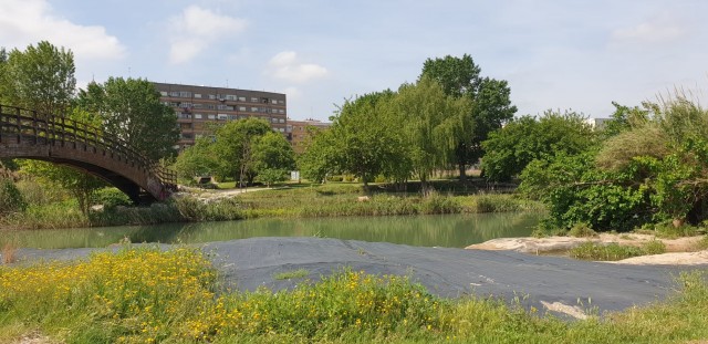 Quart de Poblet recupera el bosque de ribera del río Turia