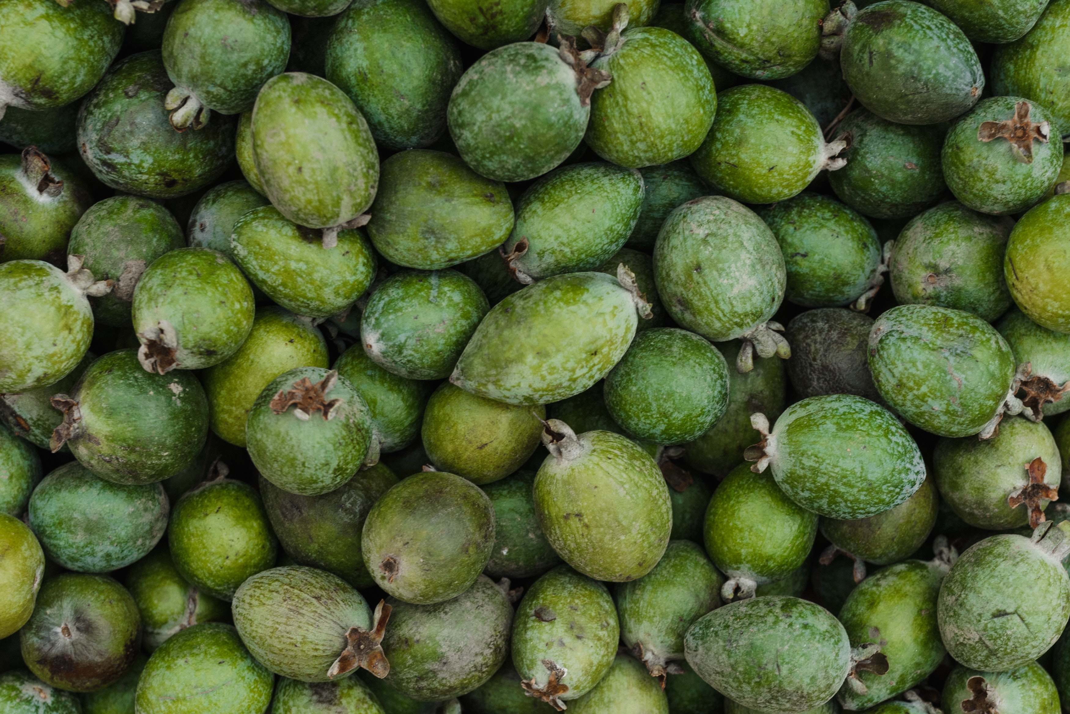 La feijoa puede ayudar a prevenir la diabetes tipo 2, según un estudio realizado en Nueva Zelanda