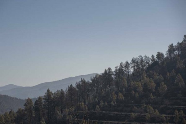 Bejís, Vall d'Ebo y Les Useres, un año después de los incendios: 