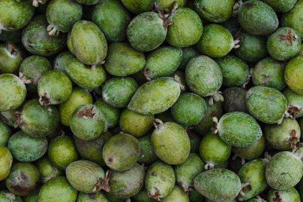 La feijoa puede ayudar a prevenir la diabetes tipo 2, según un estudio realizado en Nueva Zelanda