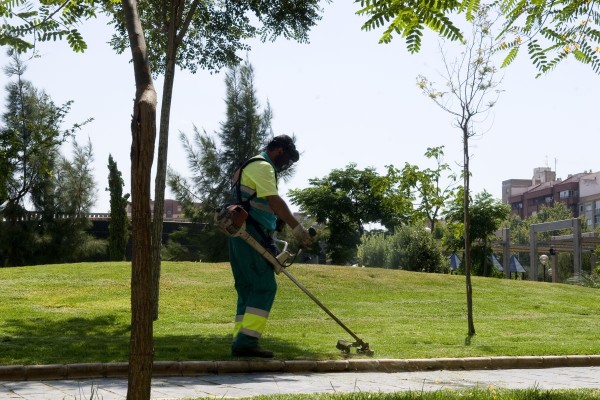 Actúa, Astus y Contenur se reparten el nuevo contrato de jardines de Cartagena, cuyo valor se eleva a 40 millones de euros
