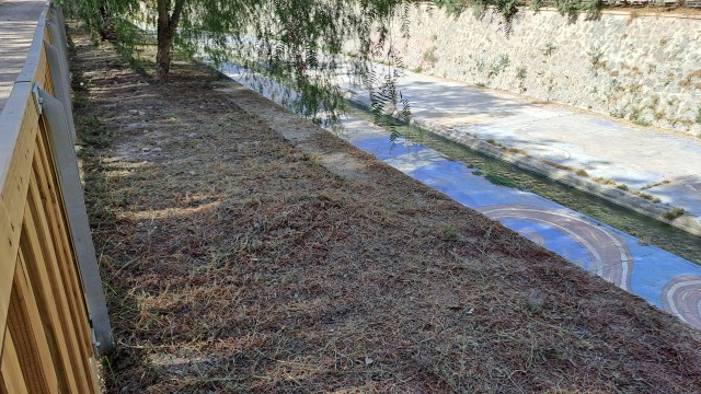 Desbroce y limpieza en la ladera de Elche para evitar incendios en la Nit de l’Albà
