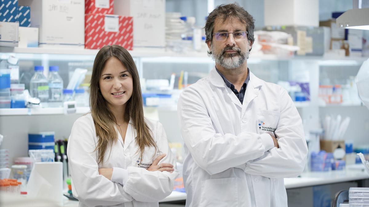 Un fármaco cardíaco mejora en ratones la eficacia terapéutica contra el melanoma