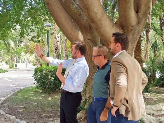 Elche destinará 150.000 euros para la reforma del Parque Municipal