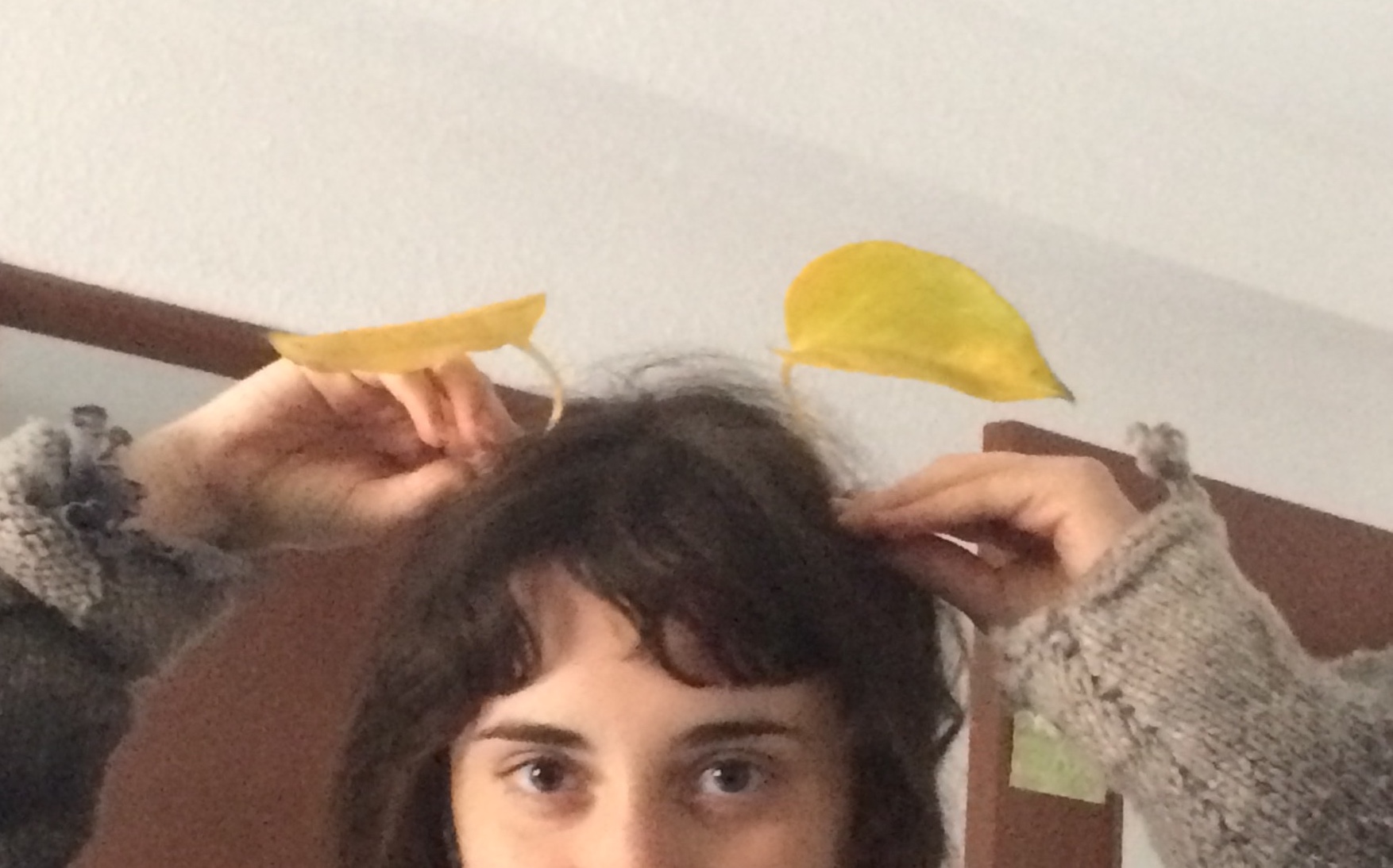 Generación V: Laura Bono