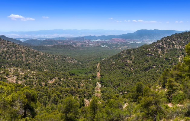 Estos son algunos restaurantes de la Región para disfrutar de la gastronomía en plena naturaleza