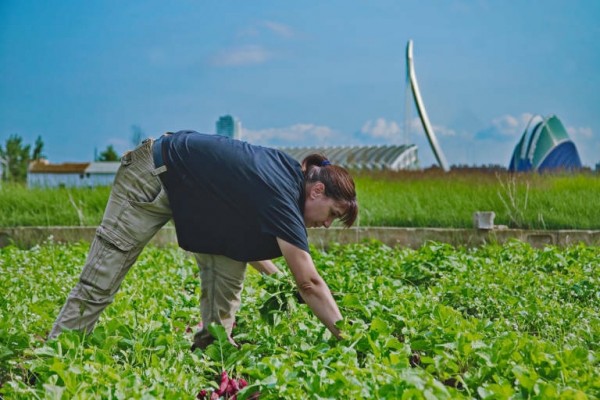 El Consell Agrari de València inicia la campaña de plásticos agrícolas
