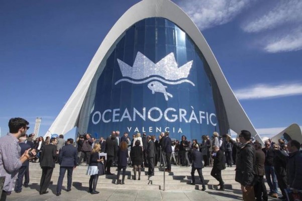 Cacsa repara el Oceanogràfic dieciséis meses después de ceder la gestión a Avanqua