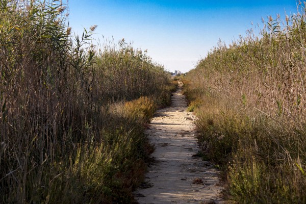 Medio Ambiente reformará el Plan de Uso del Parque Natural del Prat de Cabanes-Torreblanca 