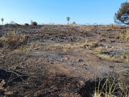 Un incendio provocado por un espectáculo pirotécnico arrasa el yacimiento de los Baños de la Reina de Calp