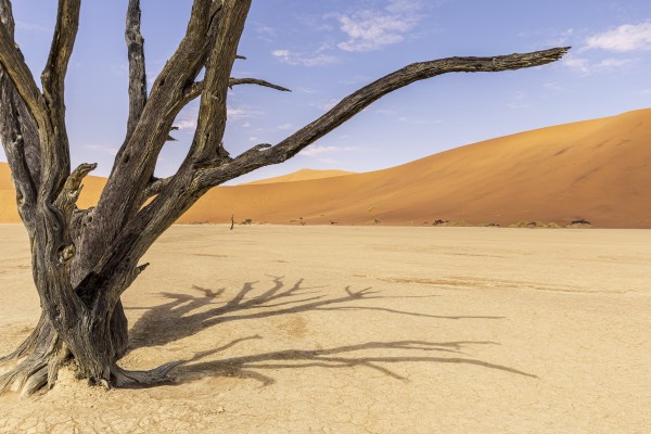 Sossusvlei, las arenas rojas del Namib