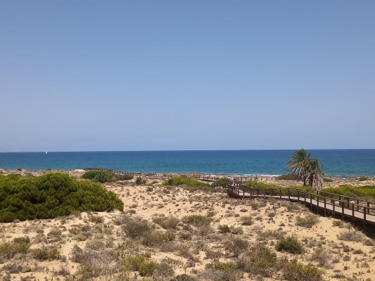 Reabren al baño la playa del Carabassí de Elche tras obtener resultados 