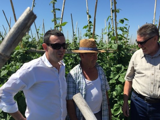 Ricard Camarena, galardonado por su fuerte vínculo con los productores locales 