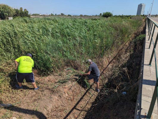 Moncofa contrata a 35 personas del paro agrario para adecentar sus acequias y caminos rurales 
