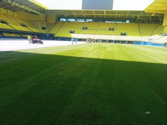 El verde ya luce en el Estadio de la Cerámica
