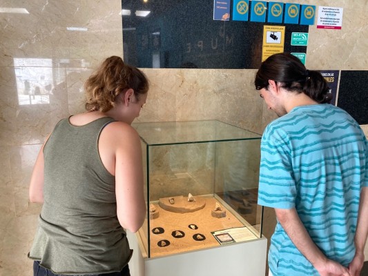 El Mupe de Elche exhibe dientes de más de 10 centímetros del extinguido tiburón Megalodón
