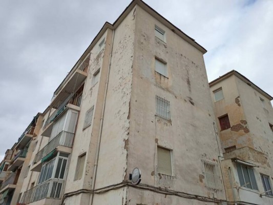 Elche reactiva los pliegos de San Antón para las viviendas en arrendamiento o compra de los nuevos pisos