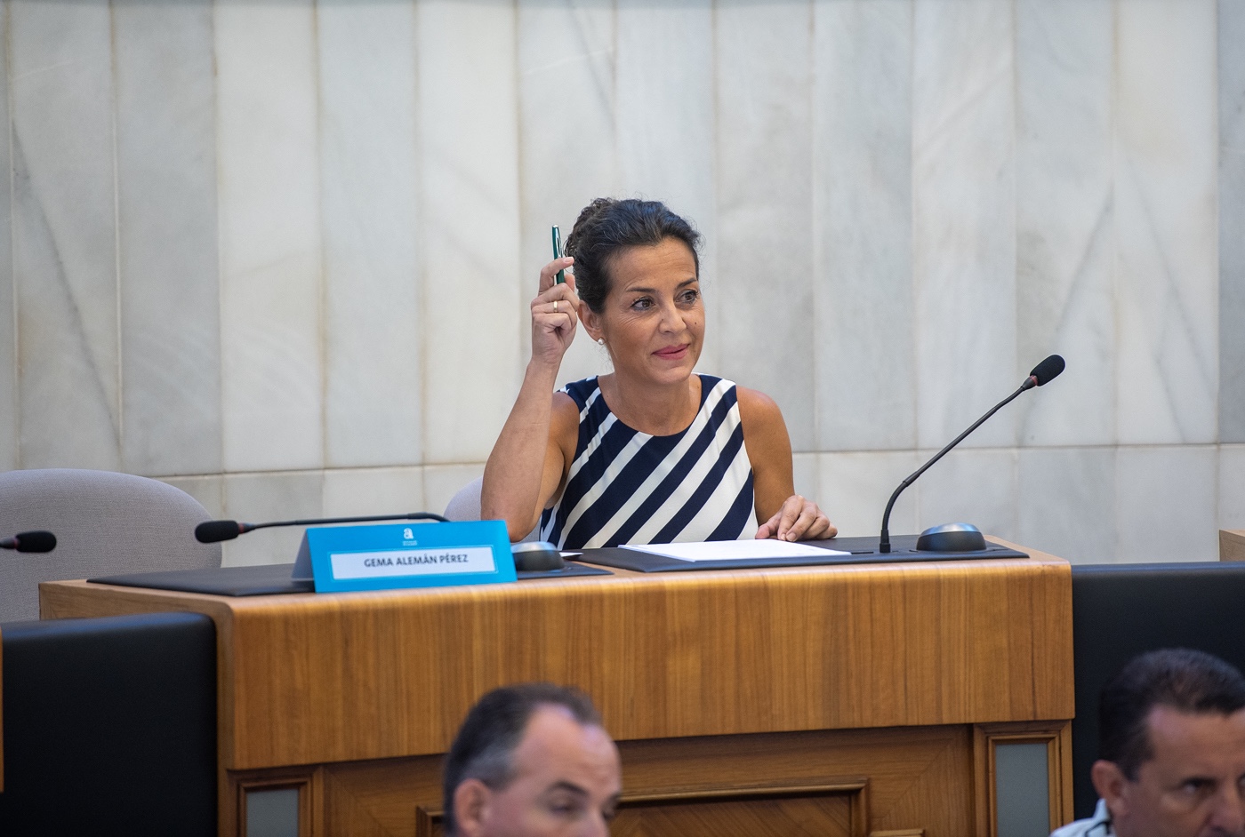 Vox se queda solo en su intento de cambiar Igualdad por Familia en la Diputación de Alicante